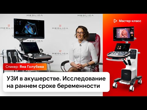 Видео: УЗИ в акушерстве. Ультразвуковое исследование на раннем сроке беременности