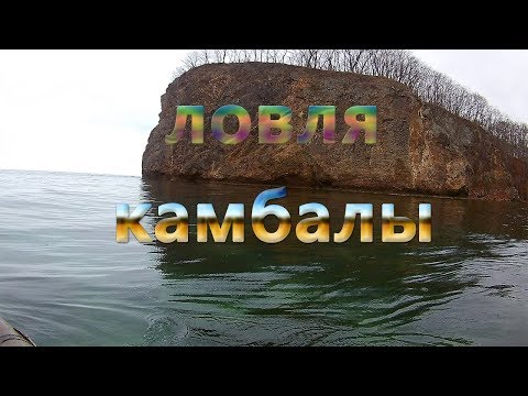 Видео: Ловля камбалы на чёрном камне в приморском крае  2019.рыбалка на море