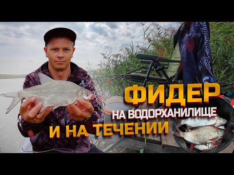 Видео: Ловлю на фидер, на водохранилище и на течении!!! п. Ударный. Бол. Ставропольский канал