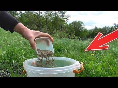Видео: ПЕРЛОВКА + ЖАРЕНЫЕ СЕМЕЧКИ! РЕАКЦИЯ РЫБЫ! ПОДВОДНАЯ СЪЕМКА