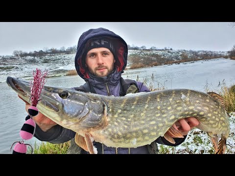 Видео: СЕКРЕТЫ ЛОВЛИ ПАССИВНОЙ РЫБЫ на мандулу. Рыбалка с берега! Убойная приманка МАНДУЛА ПРОФМОНТАЖ!
