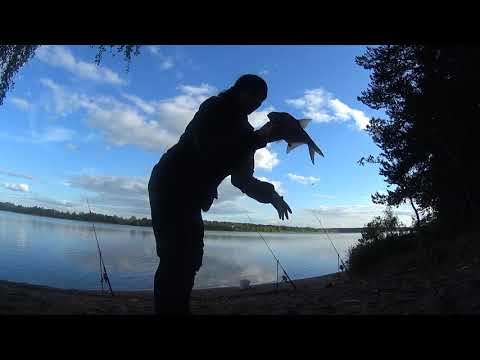 Видео: Удачная рыбалка на Волге. Ловлю на донки леща. Первая чехонь.Spring fishing in Russia.