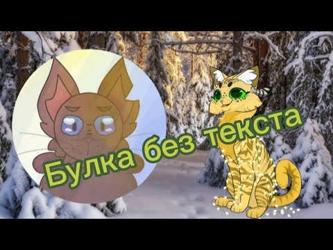 Видео: Реакция на "Булку без текста"