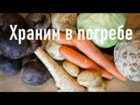 Видео: КАК ПРАВИЛЬНО ХРАНИТЬ овощи и фрукты зимой В ПОГРЕБЕ. Общие правила хранения  овощей и фруктов