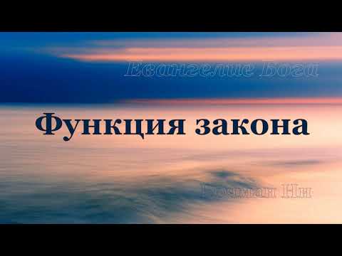 Видео: "Функция закона" Вочман Ни