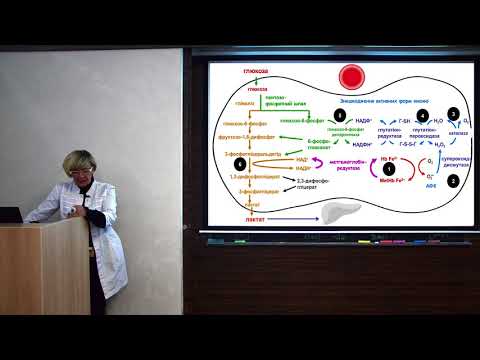 Видео: 12. Недостатність глюкозо-6-фосфатдегідрогенази в еритроцитах