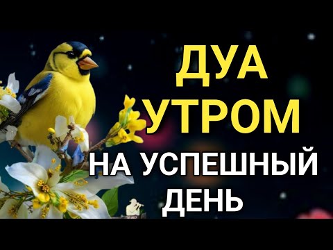 Видео: ☝️ДУА УТРОМ САМЫЙ МОЩНЫЙ СТАРТ ДНЯ! 🤲🔑🤲