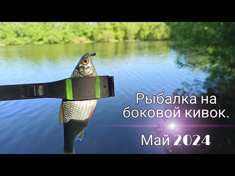 Видео: Рыбалка на боковой кивок. Май 2024.