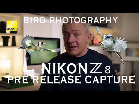 Видео: Предварительная версия Nikon Z8 для фотосъемки птиц