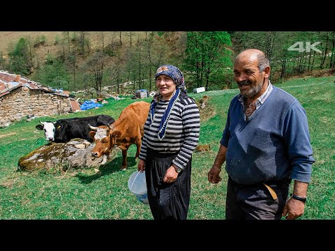 Видео: Одинокая пара и их животные в Хайленде | Документальный фильм ▫️4K▫️