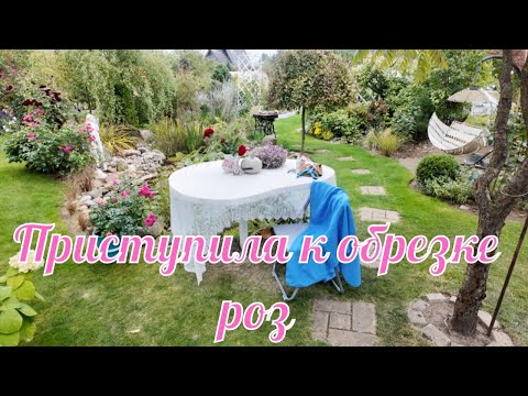 Видео: Приступила к обрезке роз