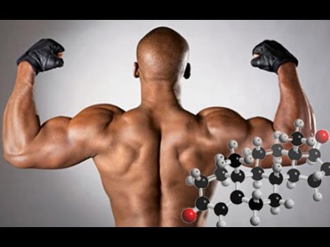 Видео: Тестостерон, набор массы, мужская сила