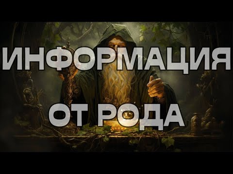 Видео: 📢ИНФОРМАЦИЯ ОТ РОДА🌳🕊️☀️