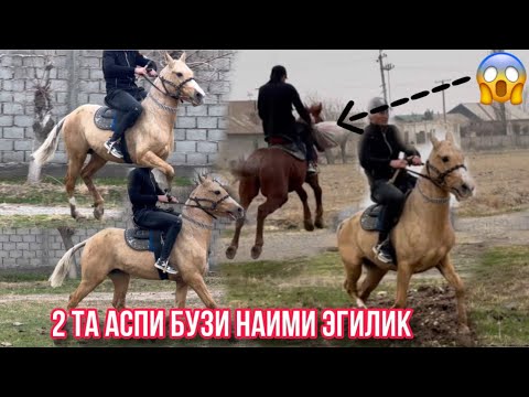 Видео: Аспи бузи аз Наими Эгилик 🇹🇯