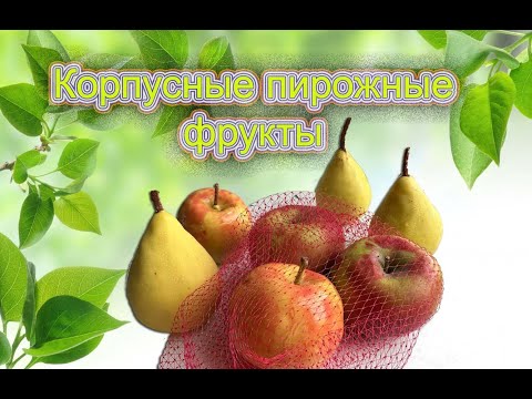 Видео: Корпусные пирожные фрукты. Fruit cakes