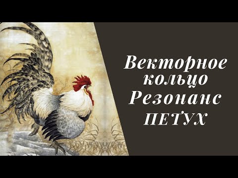 Видео: Векторное кольцо. Резонанс. Петух.