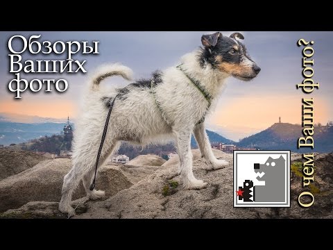 Видео: Обзор фотографий | О чём Ваши фото?