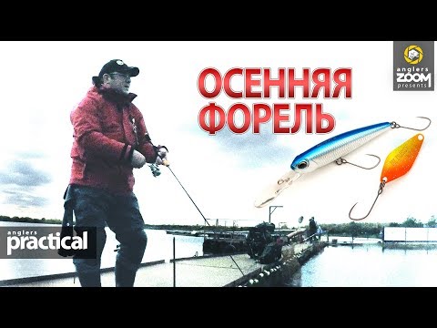 Видео: Две приманки для осенней ФОРЕЛИ. Александр Рыжов. Anglers Practical