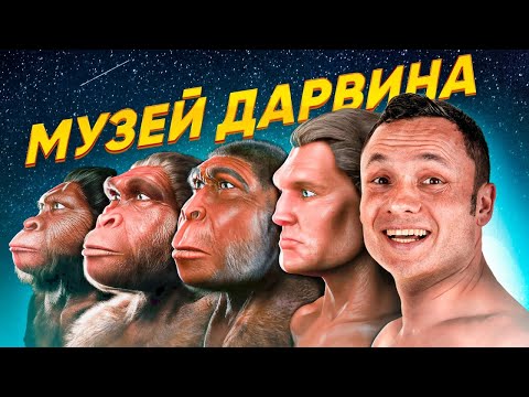Видео: Дарвиновский Музей | Обзор одного из лучших музеев Москвы | Выходные с детьми