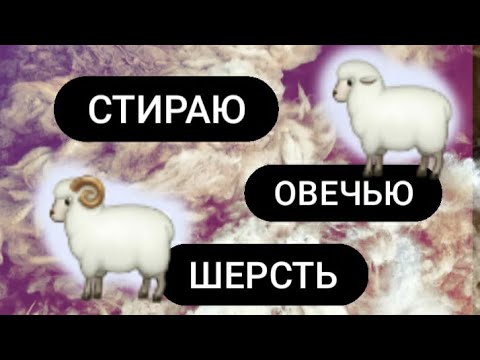 Видео: КАК СТИРАТЬ ОВЕЧЬЮ ШЕРСТЬ// МОЙ ОПЫТ😎