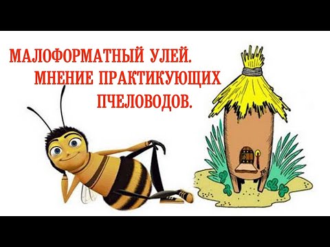 Видео: Малоформатный Улей. Мнение Практикующих Пчеловодов. Small format beehive. The opinion of beekeepers.