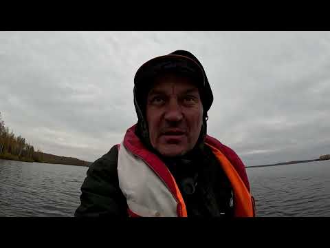 Видео: Ловля осеннего судака  Часть 4