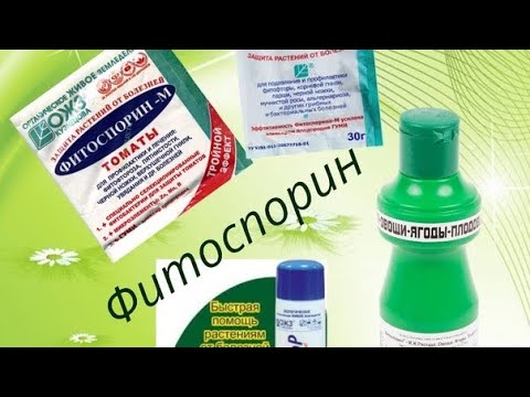 Видео: Фитоспорин # турлари#ишлатиш