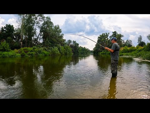 Видео: Рыбалка на поплавок 29 июня . ЗА ОДНУ РЫБАЛКУ 7 ВИДОВ РЫБ!