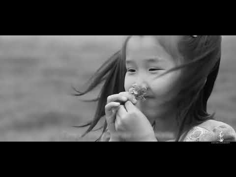 Видео: Б.Мягмарсүрэн Бэрийн өглөө
