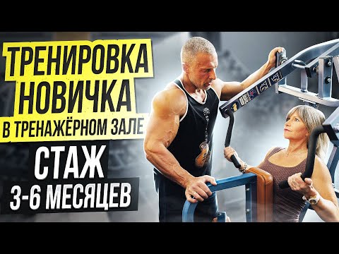 Видео: Тренировка новичка в тренажерном зале. Стаж 3-6 месяцев.