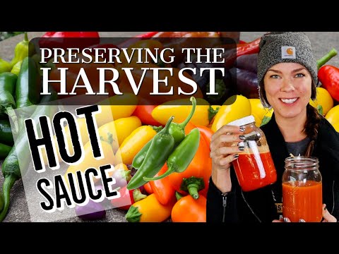 Видео: Как приготовить ферментированный острый соус: сохранение урожая