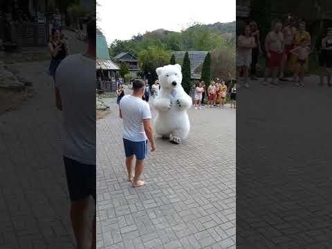 Видео: Супер белый мишка медведь из Сочи катается верхом на имениннике ✊✊