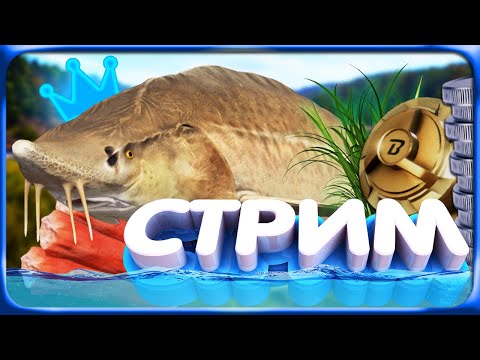 Видео: РР4 СТРИМ • ФАРМ на МЕДНОМ ОЗЕРЕ и ПРОВЕРКА ОБНОВЛЕННОГО ОСЕТРА!