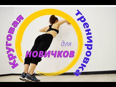 Видео: КРУГОВАЯ ТРЕНИРОВКА ДЛЯ НОВИЧКОВ