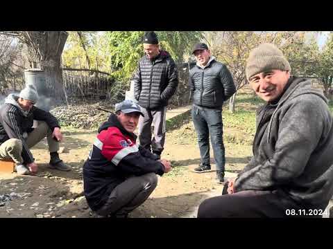 Видео: Той