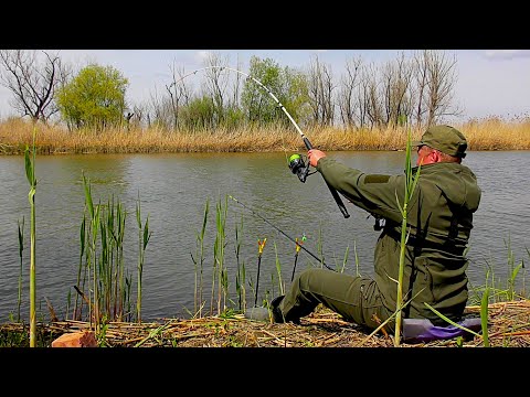 Видео: ЗАКИНУЛ УДОЧКУ ПОД КУСТ И...!!! ВОТ ЭТО РЫБАЛКА!!!