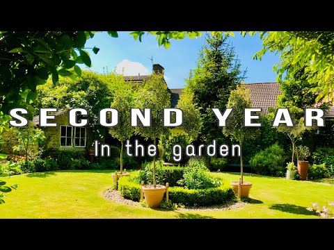Видео: Можете ли вы поверить, что это второй год садоводства: экскурсия по двору #советыпосадоводству #и...