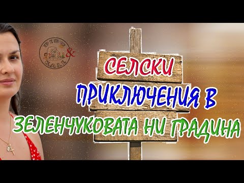 Видео: Живот на село: Как се прави зеленчукова градина в гората?