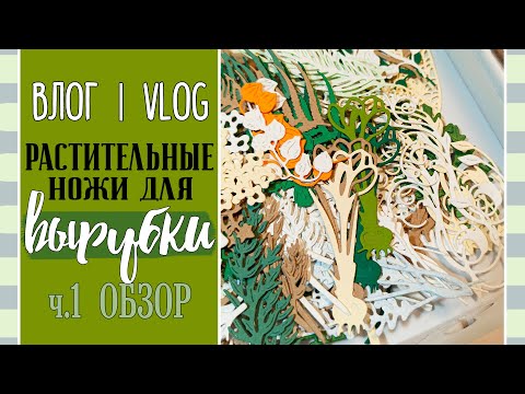 Видео: Растительные 🌿 НОЖИ 🌿 для вырубки. Часть 1. Моя коллекция/ ВЛОГ №60/ Скрапбукинг.