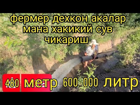 Видео: Бир тарашда 5 6 гектар мана Еканом Фермерларни даври келди