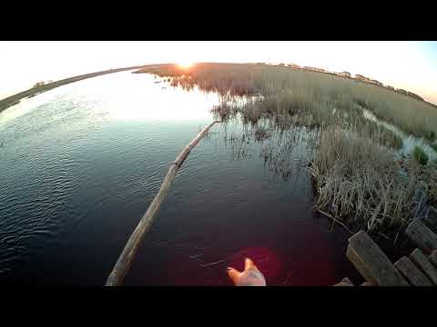 Видео: Супер Рыбалка!!!Такой удачной рыбалки на ПАУК вы еще не видели!!!!!! Ловим САЗАНОВ и ЩУЧКУ!!! фильм1