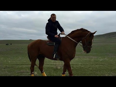 Видео: Галымжан палуан Байторе атты тулпармен Таразда 10 10 2020