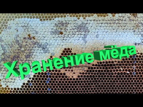 Видео: Профессор Кашковский про хранение мёда