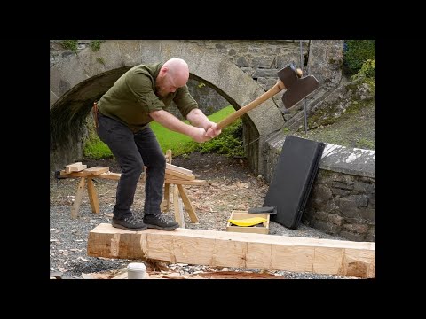 Видео: Ирландское лесное шоу