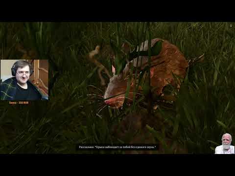 Видео: #2 Baldur's Gate III в коопе с JaneHeyJane. Первое прохождение.