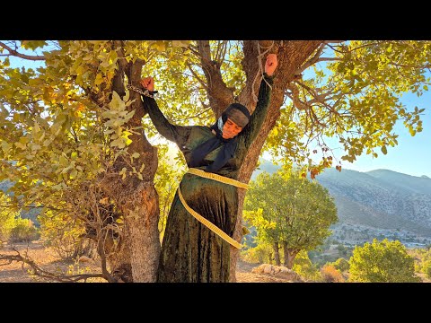 Видео: Тело бездомной матери обнаружено повешенным на камеру.