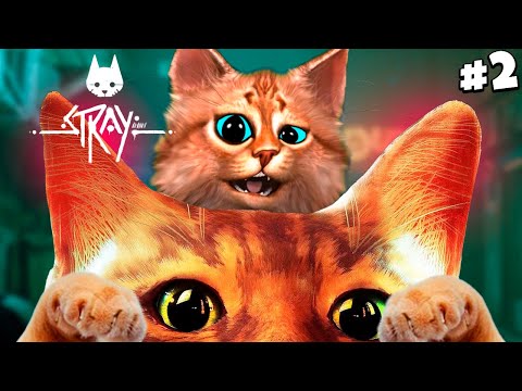 Видео: НАШЕЛ ДРУГА РОБОТА! СИМУЛЯТОР КОТА Stray Весёлый Кот