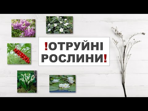 Видео: Отруйні рослини! Обережно!