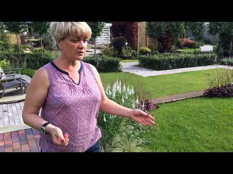 Видео: Ландшафтный дизайн участка с постройками и посадками, что делать?