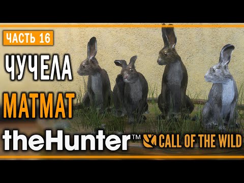 Видео: theHunter Call of the Wild #16 🐰 - Заячий Отряд - Кoмпозиции из Чучeл